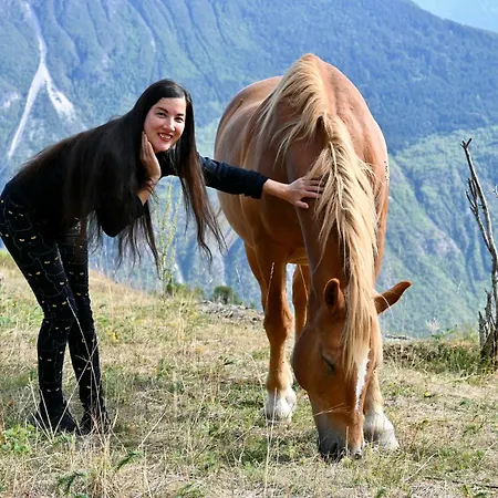 Nature Et Serenite Chez Allan 招待所 4*