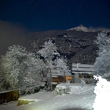 Consulat Des Elohim Chez Allan Et Lili-peace