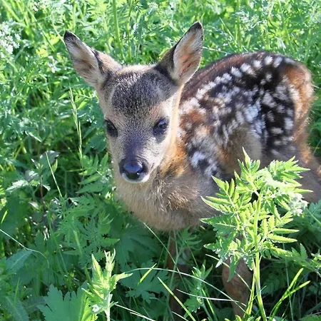 Nature Et Serenite Chez Allan 招待所