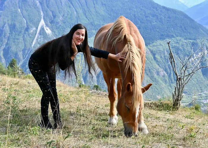 Nature Et Serenite Chez Allan 招待所 4*